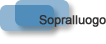 sopralluogo